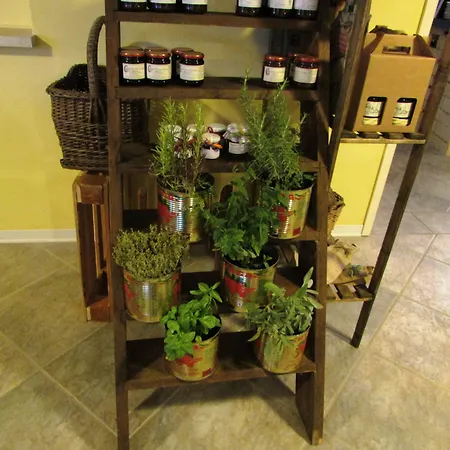 Il Grifo E Bisteccheria Toscana 3*